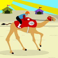 Camel Race!