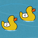 Duck Race Timer!