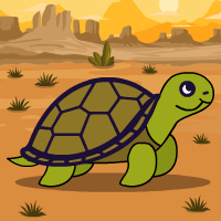 The Curious Tortoise!