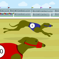 Greyhound Race!