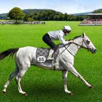 Horse Race