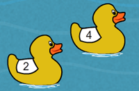 Duck Race Timer