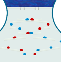 Sensory Timers - Relaxing Timers - Visual Timers